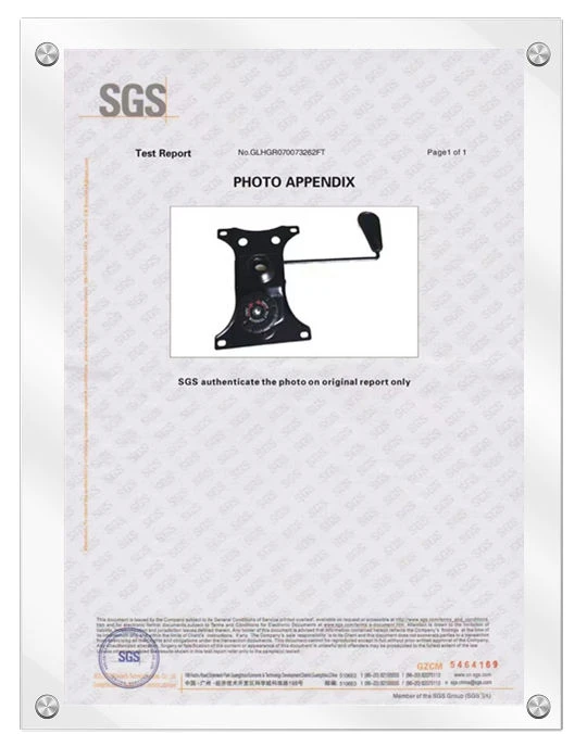 Certificado SGS del mecanismo
