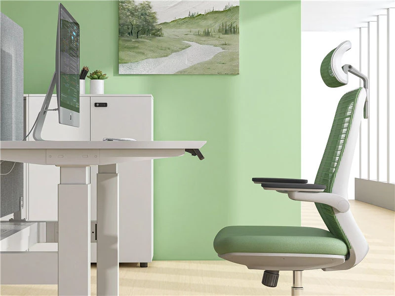 Escritorios y escritorios de altura ajustable Estaciones de trabajo ergon&oacute;micas para sentarse y pararse