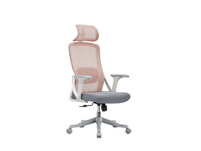 Silla operativa con reposacabezas 2D | Silla de oficina de escritorio de pie